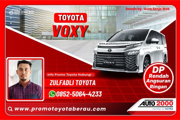 All New Voxy
